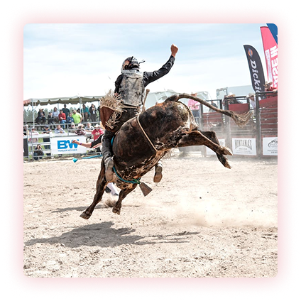 Competidor de rodeio
